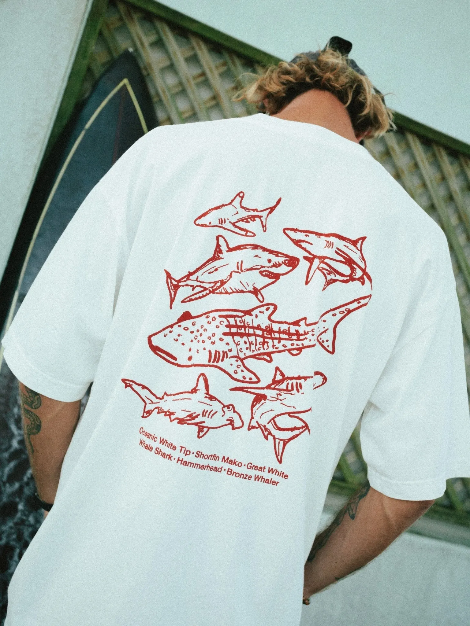 SHARKS T-SHIRT