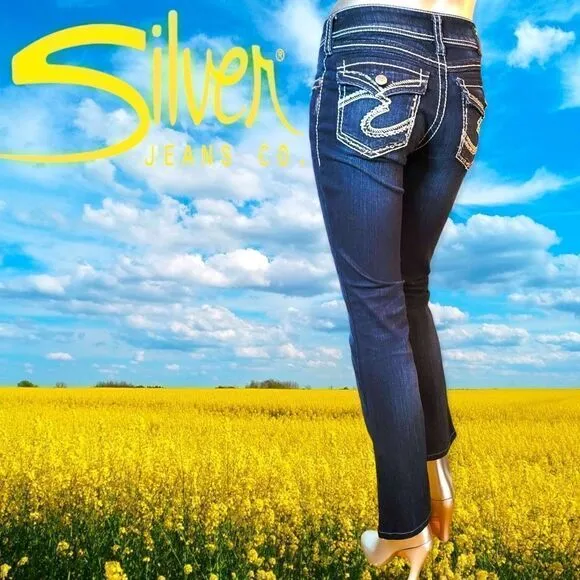 Sliver Jean Co. Dark Wash Women’s Jeans