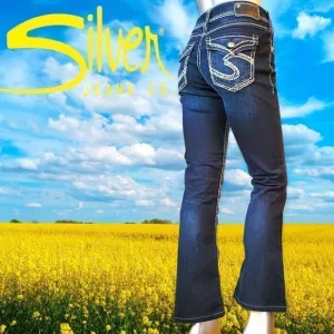 Sliver Jean Co. Dark Wash Women’s Jeans