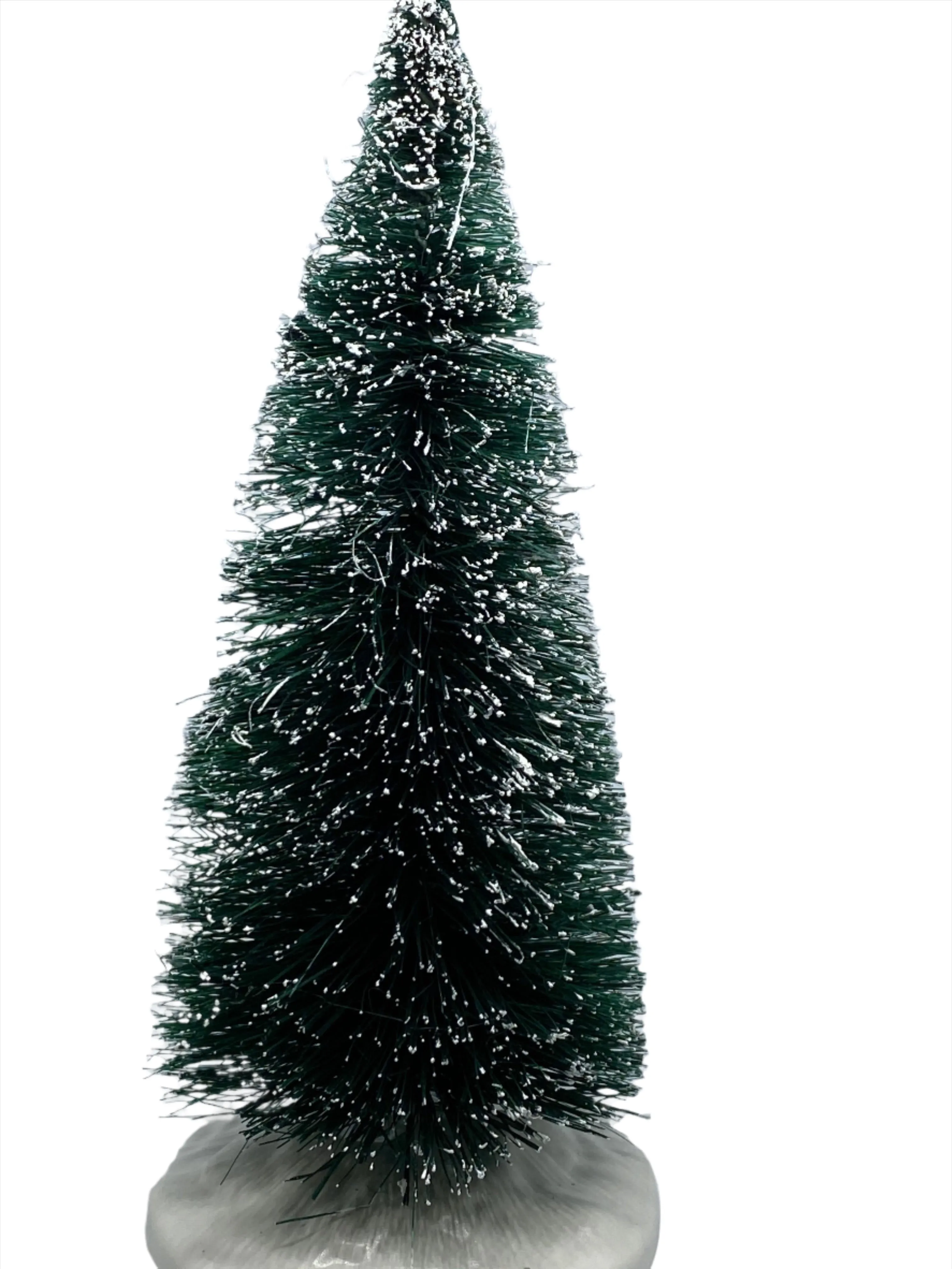 Snow covered tree