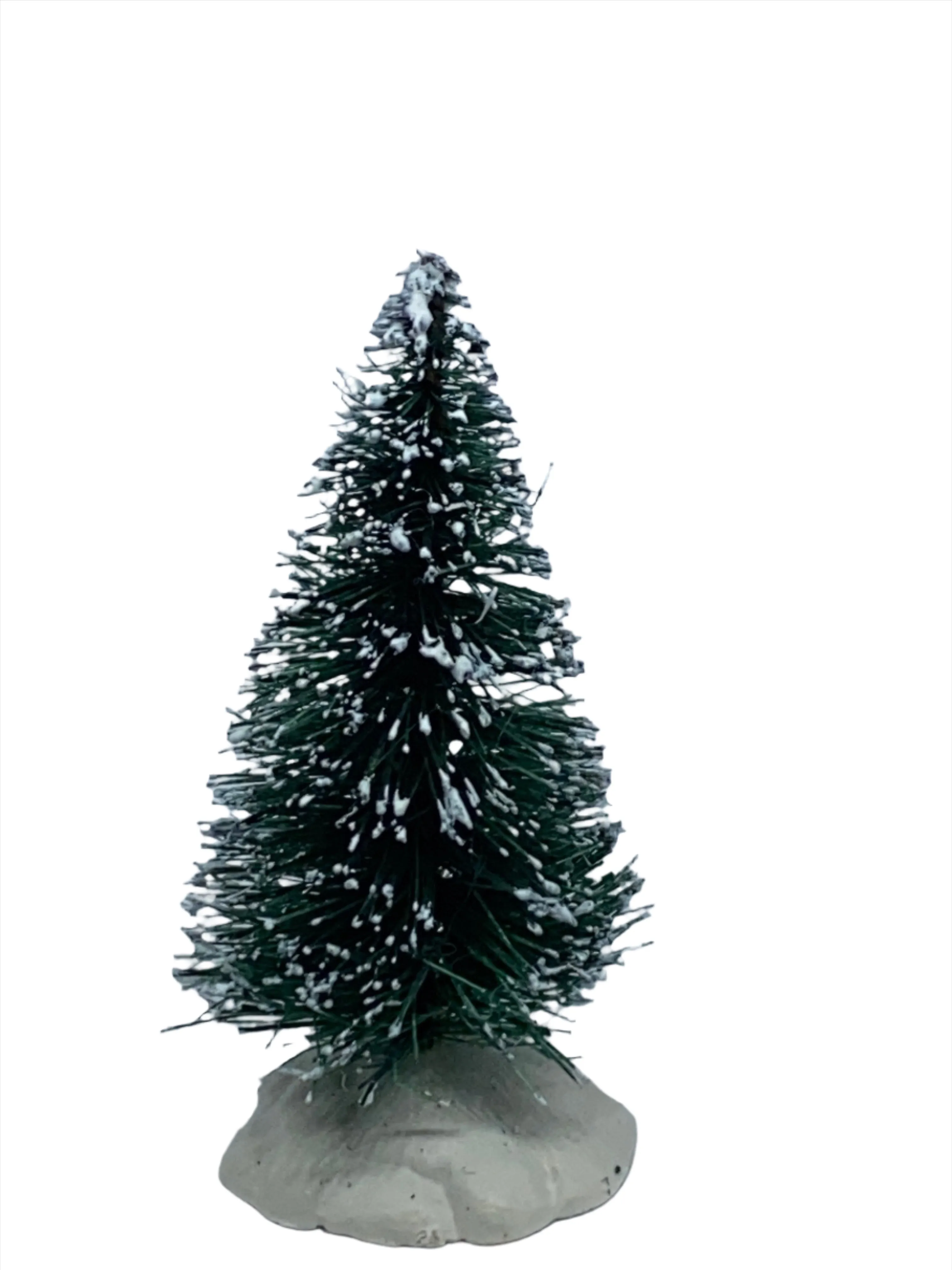Snow covered tree