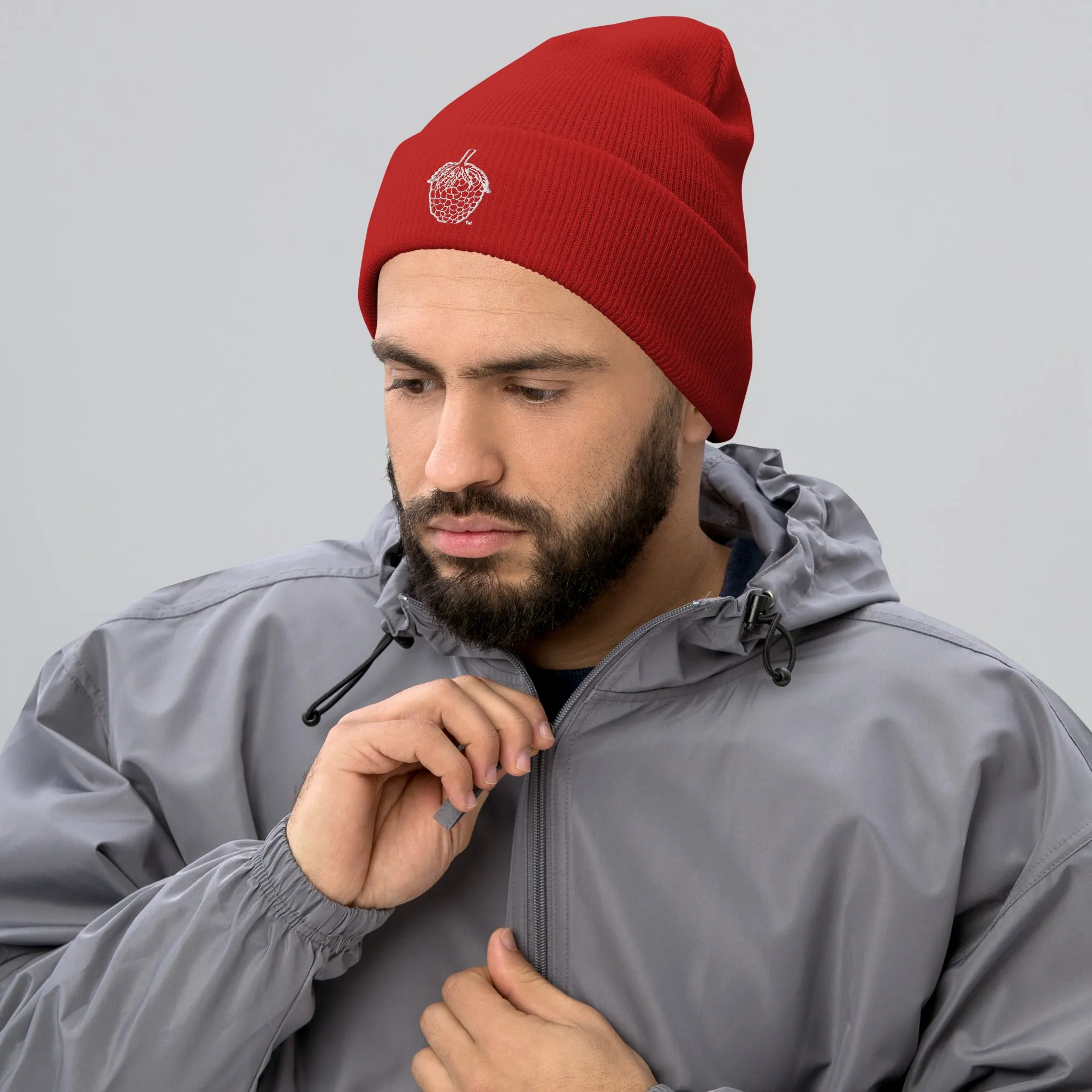 Stitched Berry Beanie