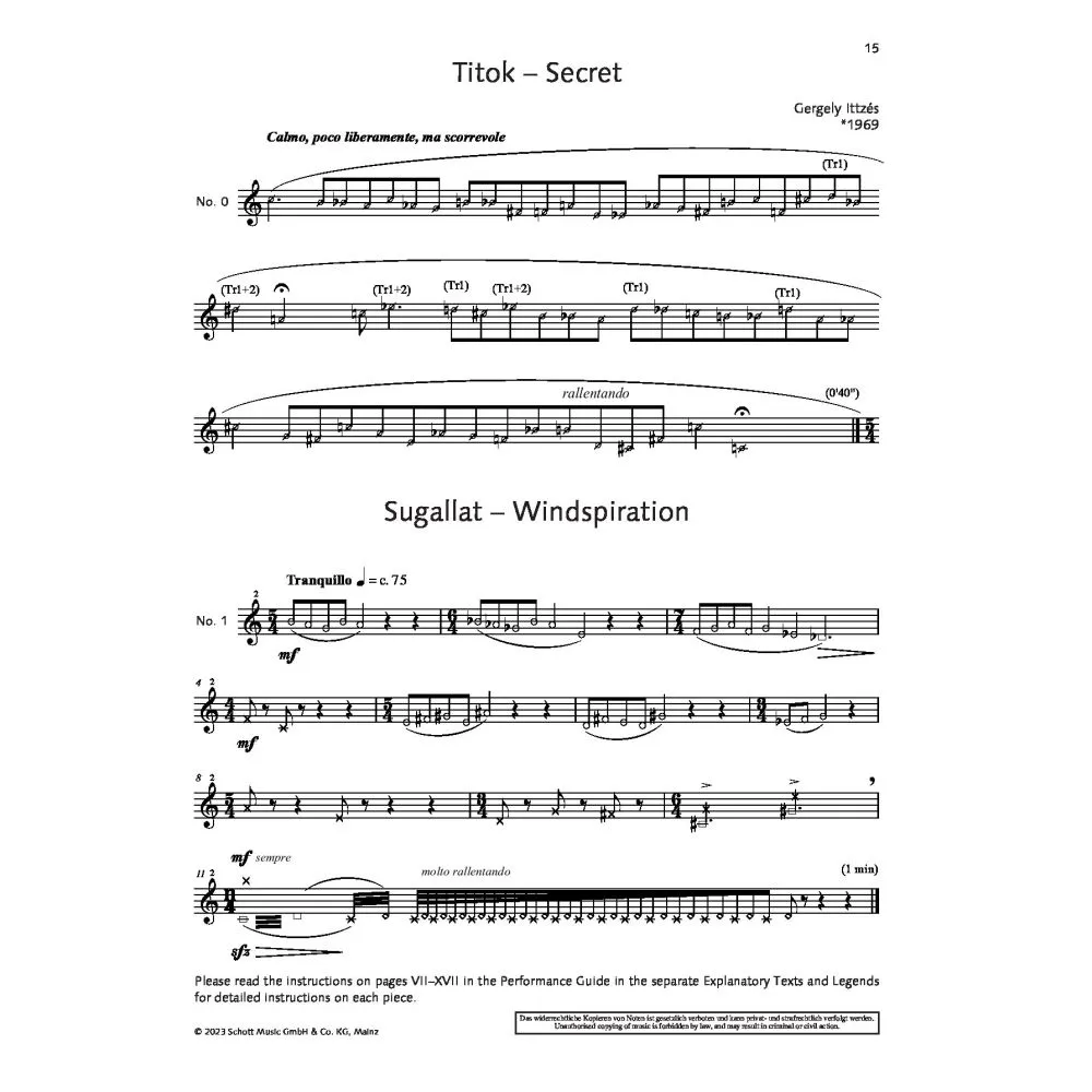 The Flute Expedition, Volume 1 (Studies and Etudes)