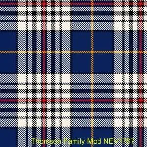 Thompson Family Modern