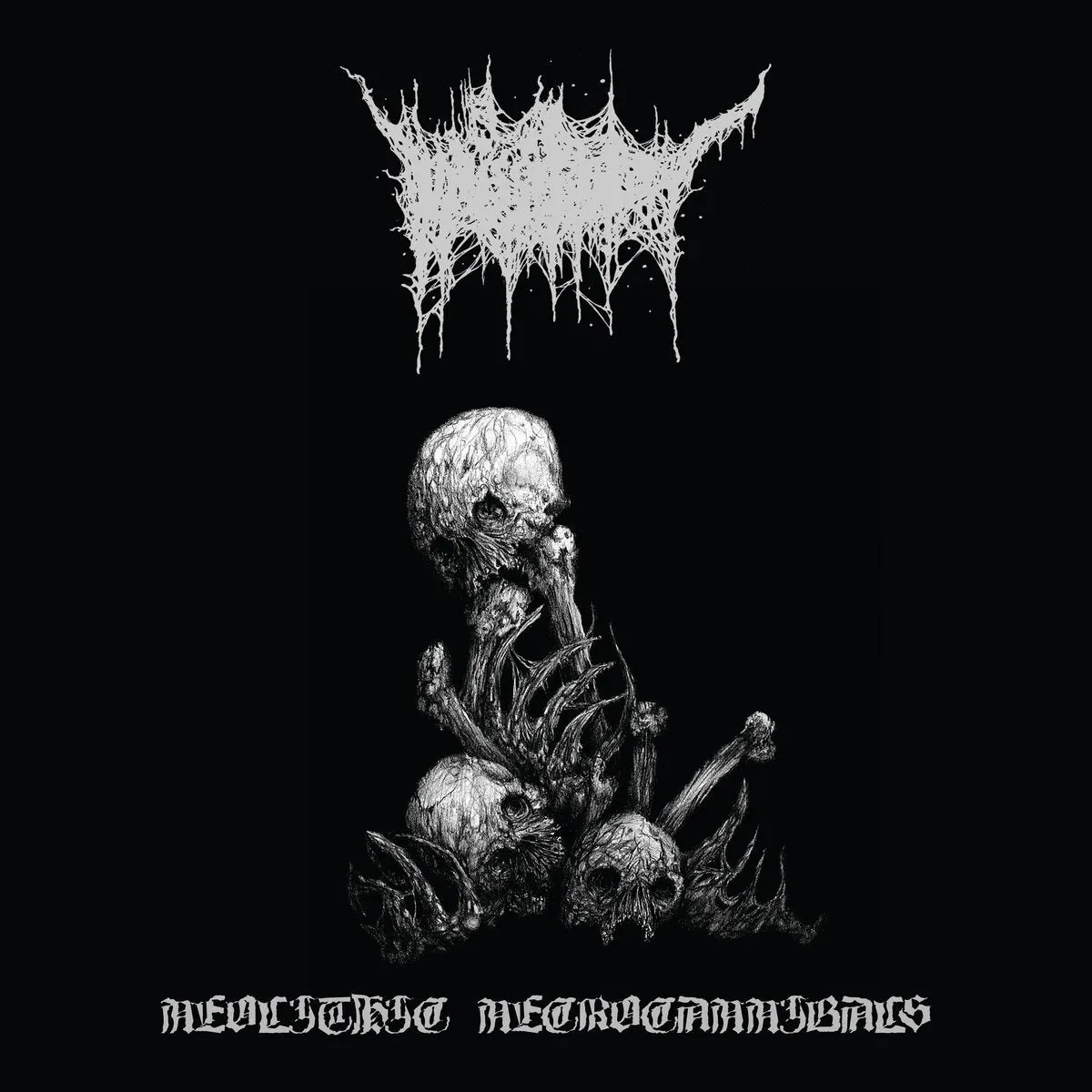 VICISSITUDE (NZ) - Neolithic Necrocannibals LP