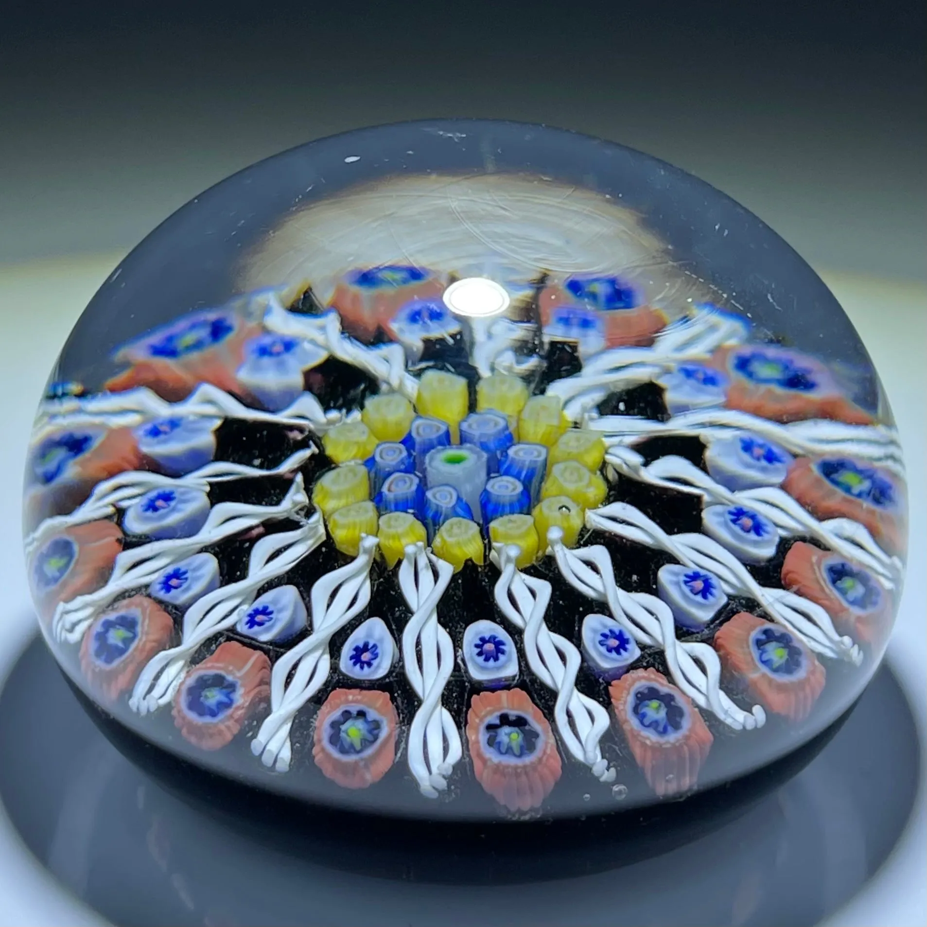 Vintage Strathearn Glass Art Paperweight Paneled Millefiori with Filligree on Black Ground