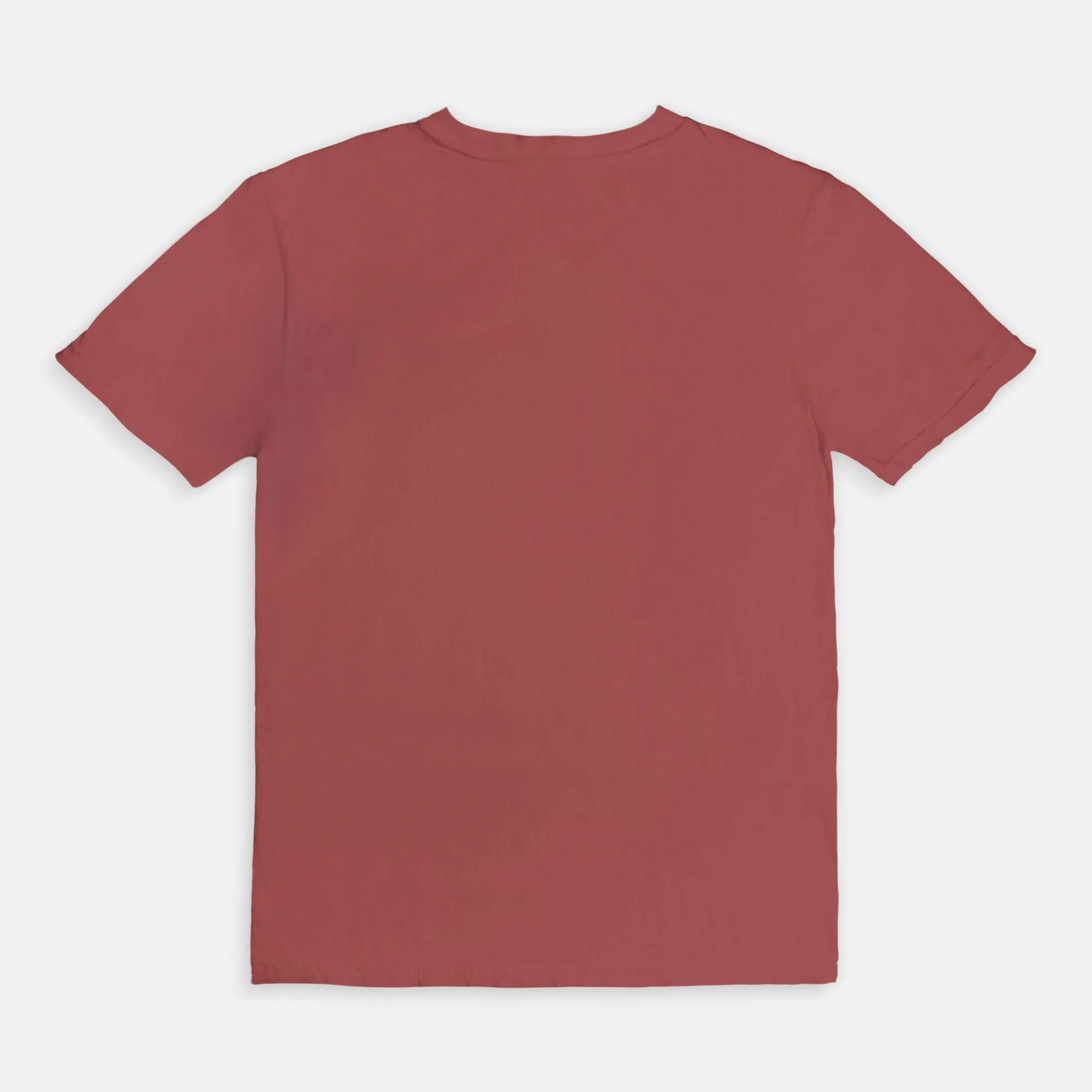VOTE | ADULT BOXY TEE