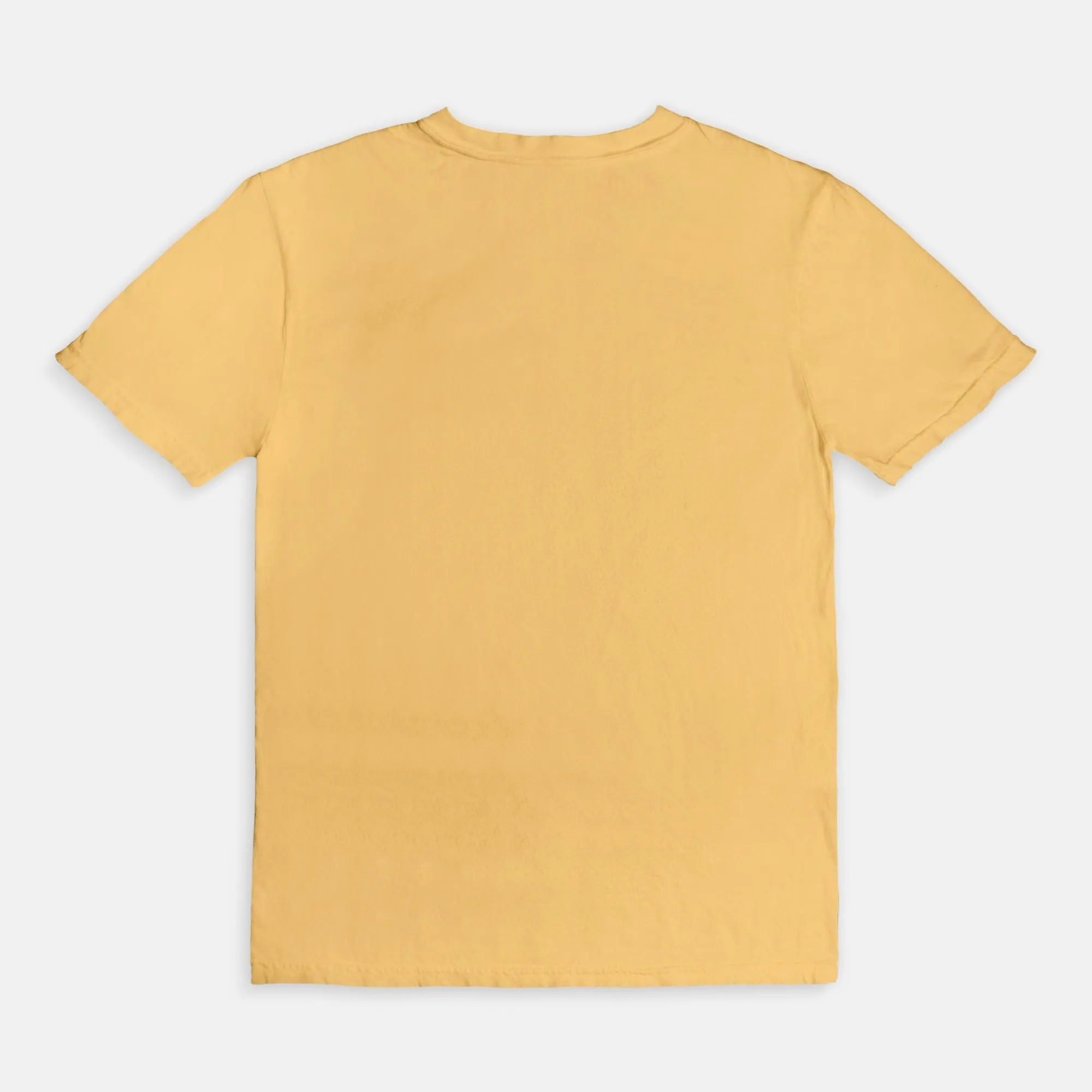 VOTE | ADULT BOXY TEE