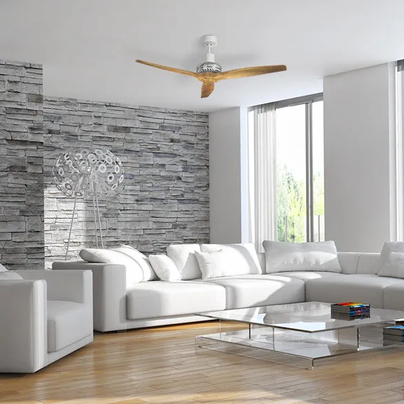 White Star Propeller Indoor Outdoor Ceiling Fan