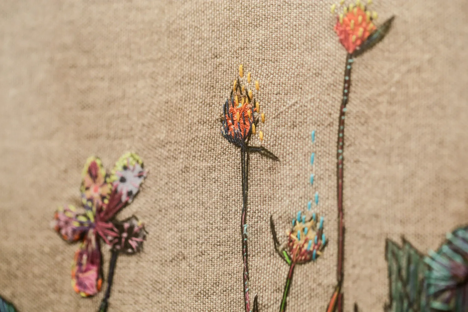 Wild Flowers