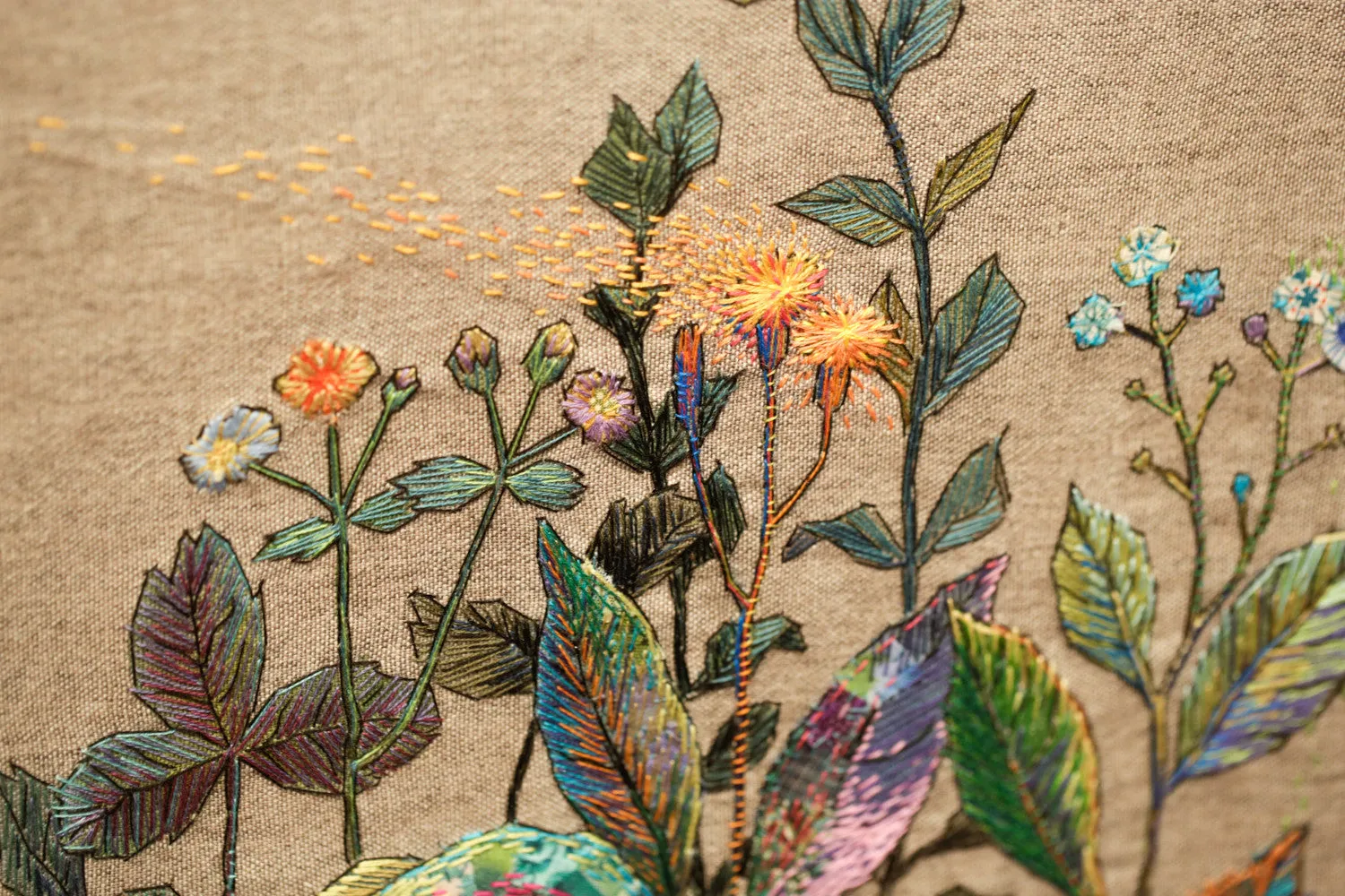 Wild Flowers