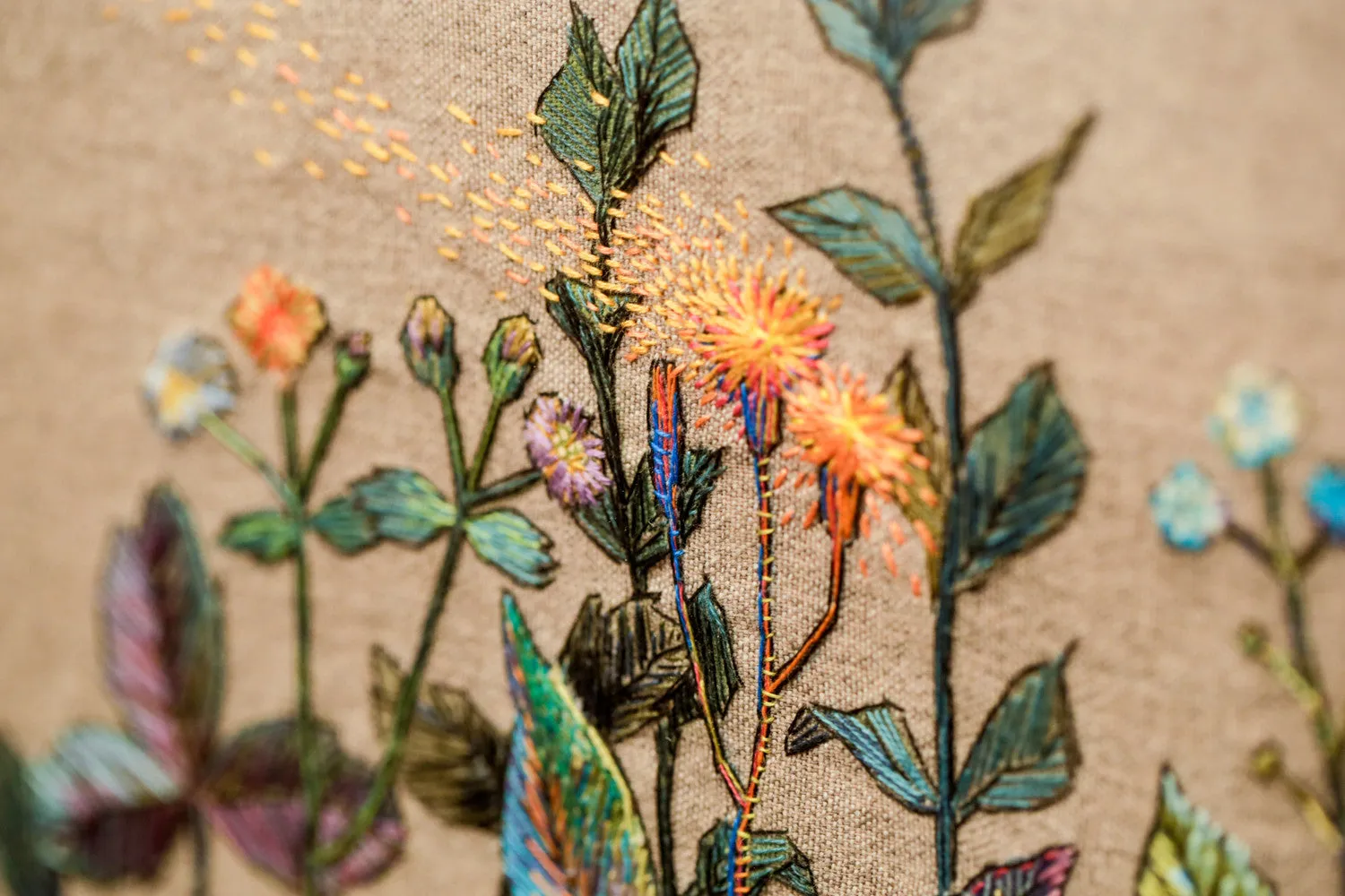 Wild Flowers